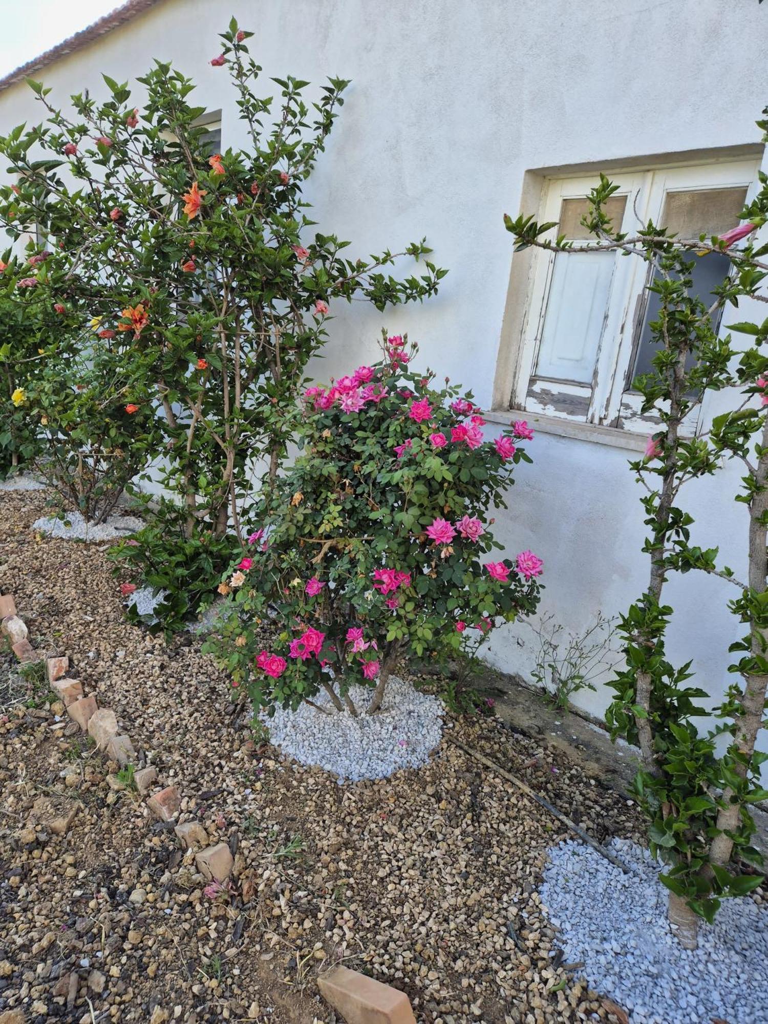 Villa Elvira Country House Belvedere Marittimo Exterior photo