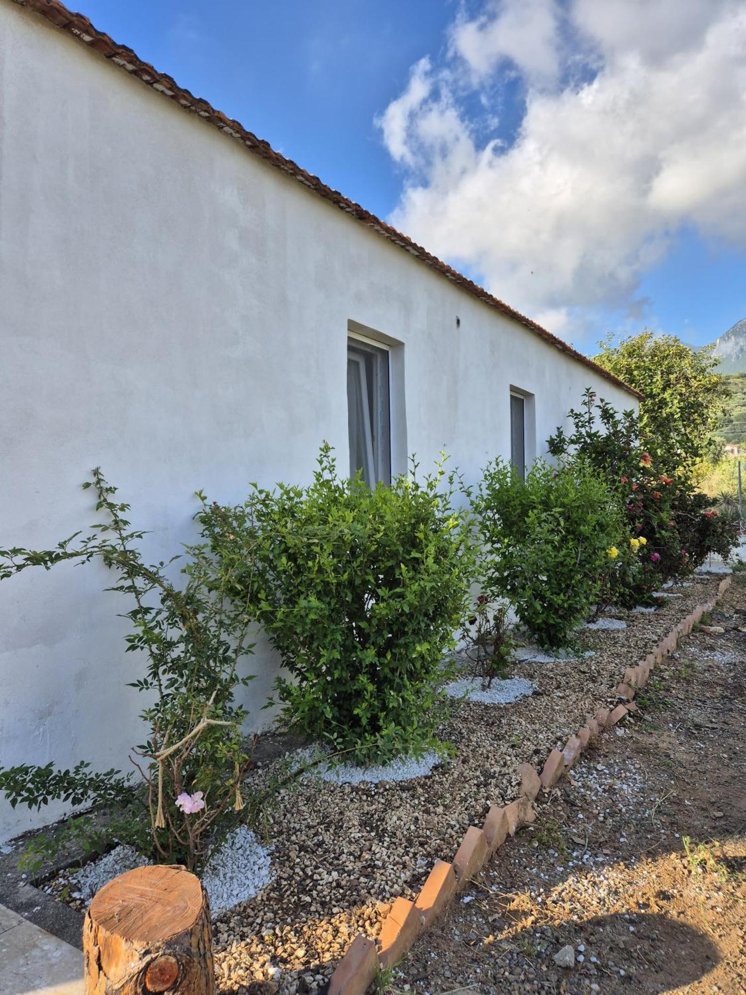 Villa Elvira Country House Belvedere Marittimo Exterior photo
