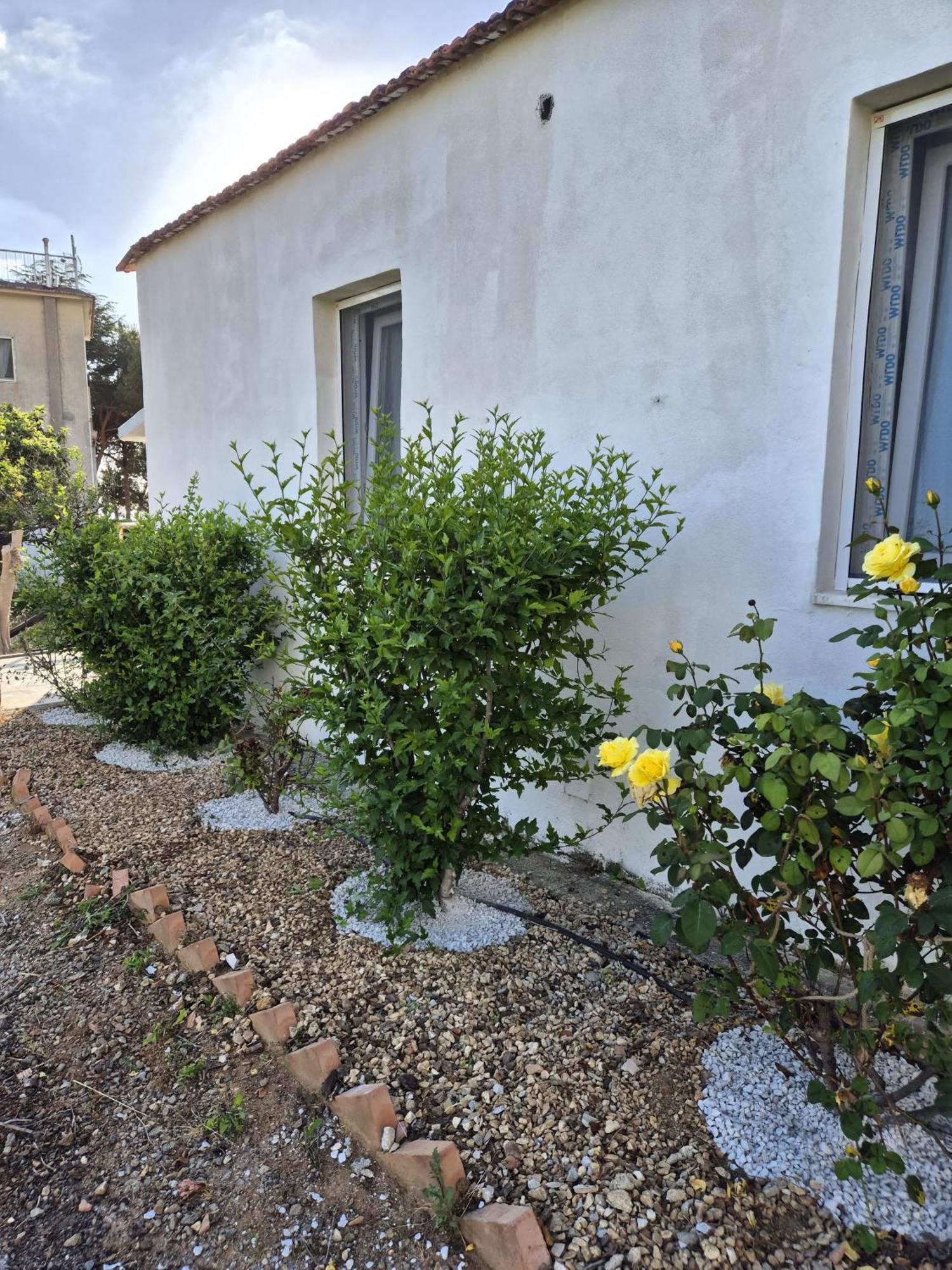 Villa Elvira Country House Belvedere Marittimo Exterior photo